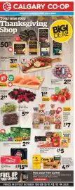 Calgary Co-op flyer Page 2: Coca-Cola or Pepsi Soft Drinks €15,98, Triscuit, Ritz, Dare Breton or Carr's Crackers €5,00