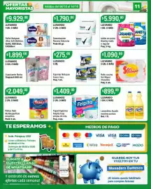 Catálogo Supermercados Damesco semana 41 Página 11: Ayudin lavandina maxima pureza €89.900,00