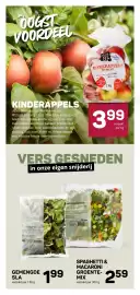 Ekoplaza folder week 42 Pagina 11: Spaghetti en macaroni groentemix €2,59, Kinderappels €3,99