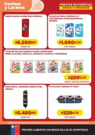 Catálogo Comercial Castro Página 9: Soprole - yoghurt batido variedad €250,00, Soprole - queso argentino €6.590,00