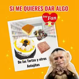 Catálogo MercaCentro Página 5