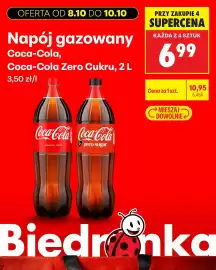 Biedronka gazetka Strona 13