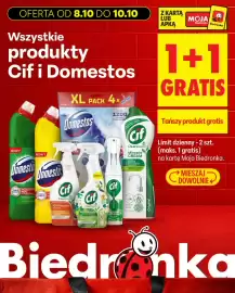 Biedronka gazetka Strona 19