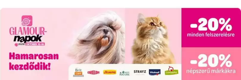 ZooPlus akciós újság Oldal 4