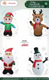Catálogo Woolworth Página 2
