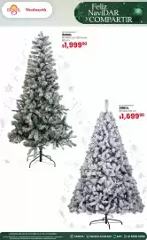 Catálogo Woolworth Página 6