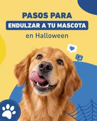 Catálogo Puppis (válido hasta 14-10)