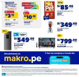 Catálogo Makro Página 33