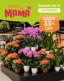 Catálogo Alvear semana 41 Página 1