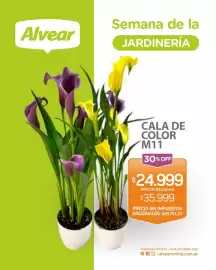 Catálogo Alvear semana 41 Página 2