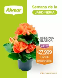 Catálogo Alvear semana 41 Página 3