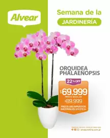 Catálogo Alvear semana 41 Página 4