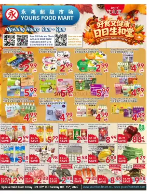 Yours Food Mart flyer