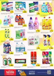 Nesto catalogue Page 11