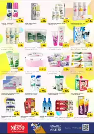 Nesto catalogue Page 13