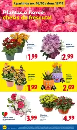 Folheto Lidl | Fim de Semana Página 4: Cactos com flor de palha €2,69, Ramo de Flores da Época Nacional €3,99