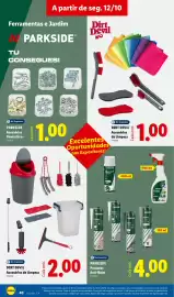 Folheto Lidl semana 42 Página 40: Dirt Devil Acessórios de Limpeza €1,00, Parkside produtos anti-bolor €4,00