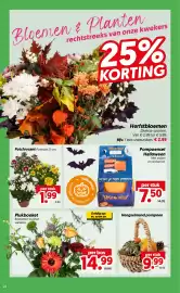 Dekamarkt folder week 42 Pagina 25: Hengselmand pompoen €9,99, Potchrysant €1,99