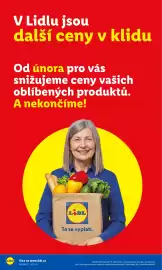 Lidl leták Strana 20