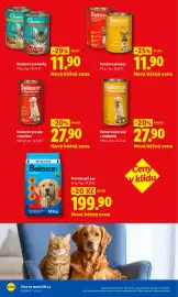 Lidl leták Strana 24