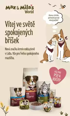 Lidl leták