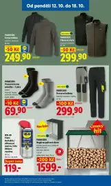 Lidl leták týden 42 Strana 7: PARKSIDE Fleeceová vesta €299,90, PARKSIDE Regál na palivové dřevo €1.599,00