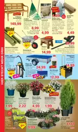 Wiglo Wunderland Prospekt woche 42 Seite 8: Konstruktionsholz €5,99, Schubkarre €19,99