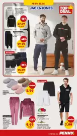 PENNY Prospekt woche 42 Seite 29