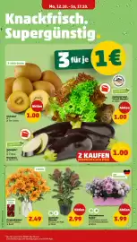 PENNY Prospekt woche 42 Seite 4