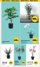XL-BYG tilbudsavis Side 43: Kunstig Orkide Plante €199,00, Kunstigt Eucalyptus Træ €399,00