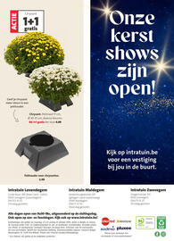 Intratuin folder Pagina 12: Chrysant €4,99, Pothouder voor chrysanten €2,49