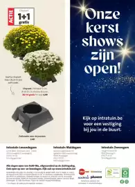 Intratuin folder Pagina 12: Chrysant €4,99, Pothouder voor chrysanten €2,49