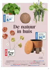 Intratuin folder Pagina 3: ECO CHEQUES 3 ECO CHEQUES Pannenkoekenplant 12.99 Nú voor members* 8,99 4 De natuur in huis