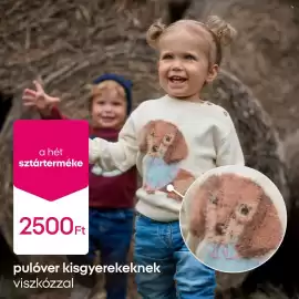 Pepco akciós újság hét 41 Oldal 3