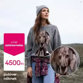 Pepco akciós újság hét 41 Oldal 4