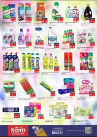 Nesto catalogue Page 14