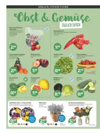 V Markt Prospekt woche 42 Seite 4