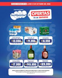 Catálogo Surtifamiliar Página 14