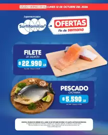 Catálogo Surtifamiliar Página 10: Filete de salmón €22.990,00