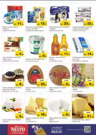Nesto catalogue Page 21