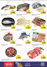 Nesto catalogue Page 24