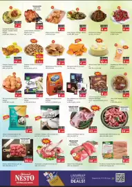 Nesto catalogue Page 11