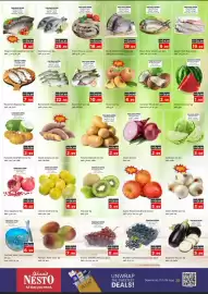 Nesto catalogue Page 12