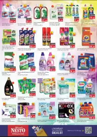 Nesto catalogue Page 13