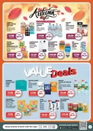 Bestway leaflet Page 3