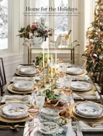 Williams-Sonoma catalog Page 24