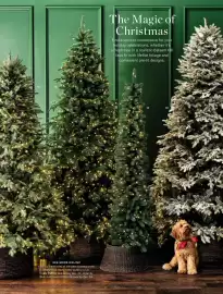 Williams-Sonoma catalog Page 74