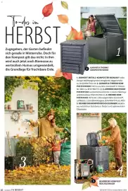 Dehner Prospekt Seite 20