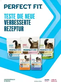 Dehner Prospekt Seite 79