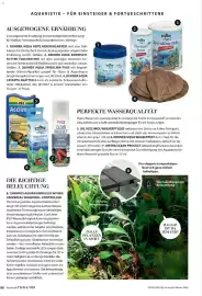 Dehner Prospekt Seite 88